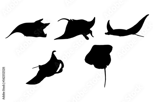 Set of silhouettes of manta ray vector design