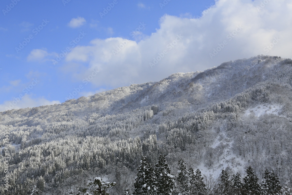 Japanse Nature Gifu region