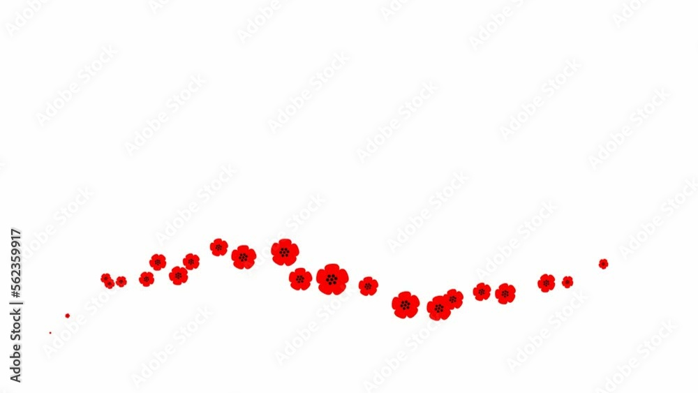 Animated red beautiful flowers fly from left to right. Looped video. Concept of spring. A wave of flying poppy flowers on white background. Animated red beautiful flowers fly from left to right. Looped video. Concept of spring. A wave of flying poppy flowers on white background.
