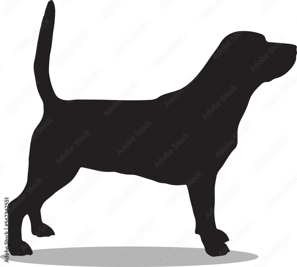 Beagles Silhouette, cute Beagles Vector Silhouette, Cute Beagles cartoon Silhouette, Beagles vector Silhouette, Beagles icon Silhouette, Beagles Silhouette illustration, Beagles vector																