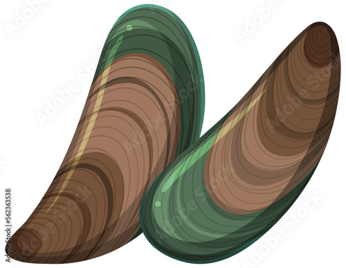 Isolated mussels seafood cartoon