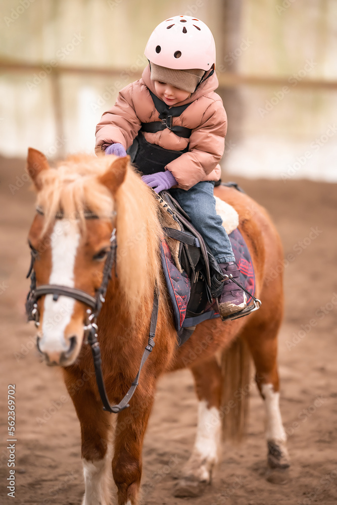 Little Child Riding Lesson. Three-year-old girl rides a pony and does exercises