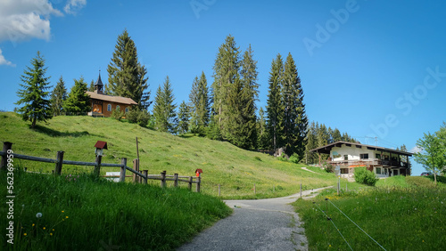Wanderweg in schöner Natur bei Oberstdorf 