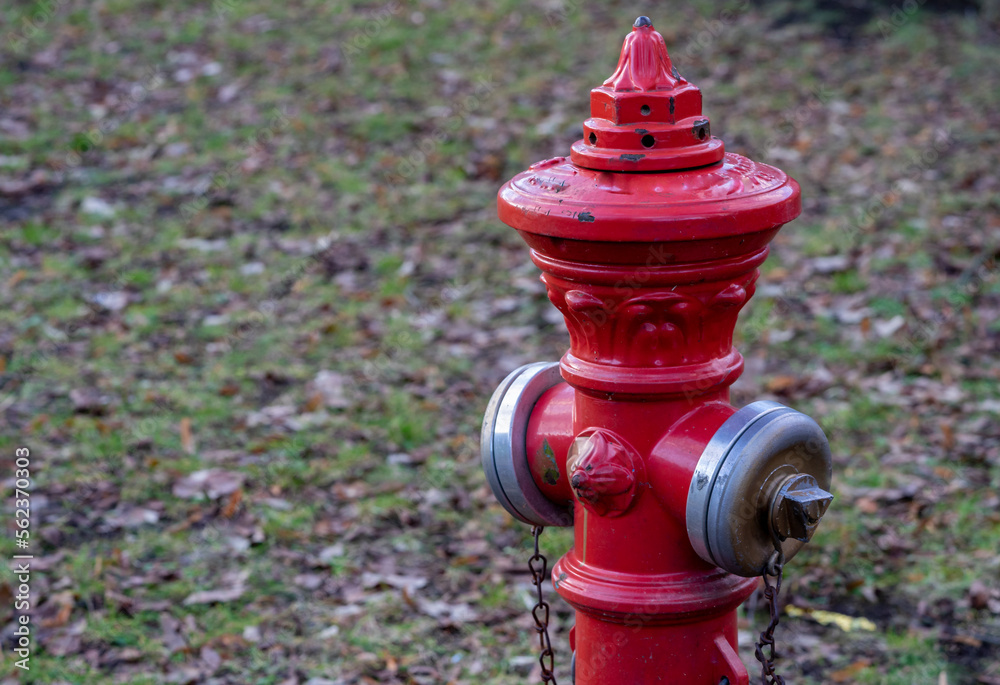 red fire hydrant in a park red fire hydrant in a park