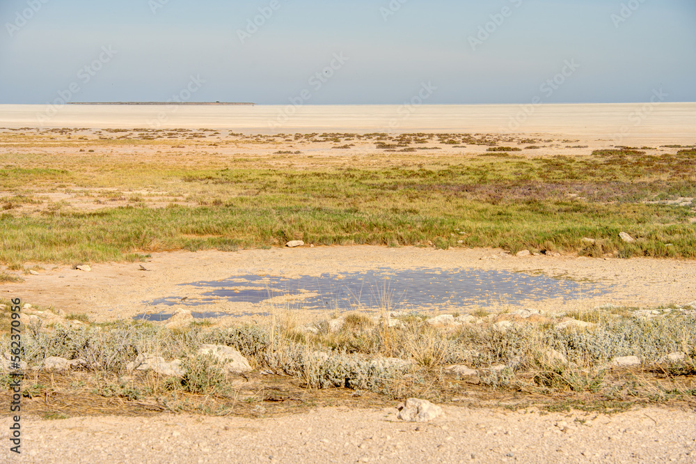 Etosha National Park Landscape, Namibia Etosha National Park Landscape, Namibia
