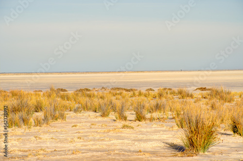 Etosha National Park Landscape  Namibia