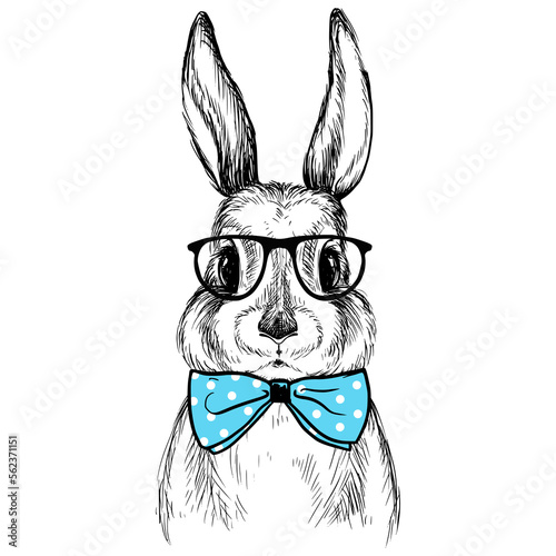 Bunny rabbit with bow and glasses sketch illustration. Vintage animal drawing.