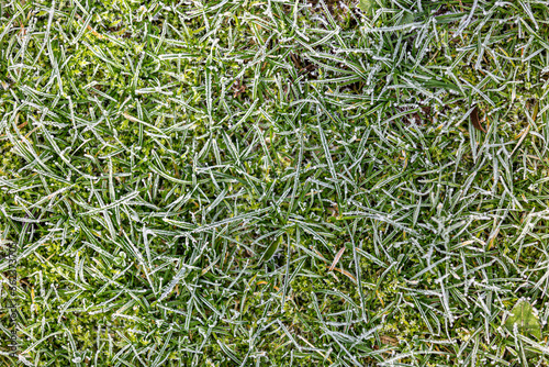 Looking down at a lawn on a cold winter's morning