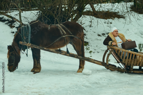 Man veterinarian in a coat sits in a sleigh cart. Harnessed horse in winter.