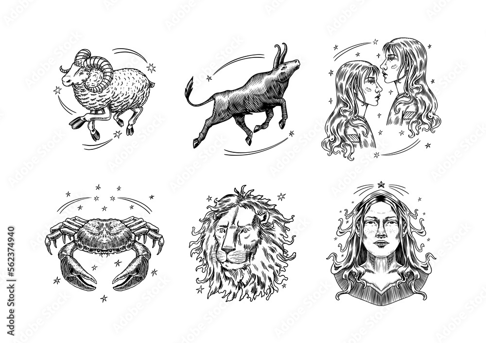 Zodiac constellation signs. Astrological symbols. Illustrations of horoscope. Magic female characters, Boho design. Hand drawn Engraved old monochrome sketch.