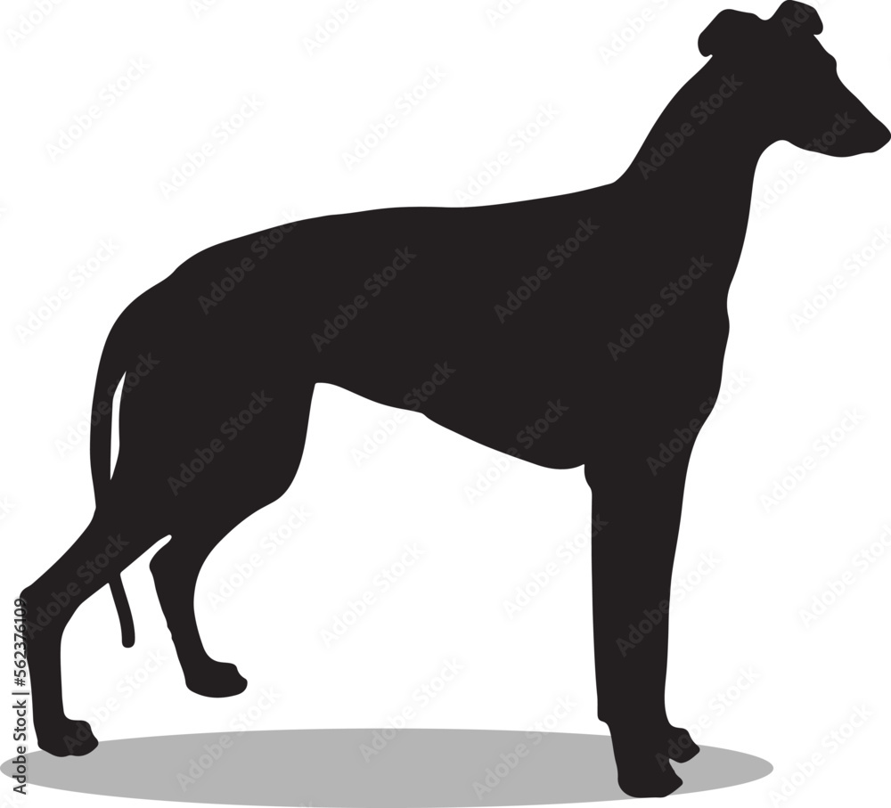 Greyhounds Silhouette, cute Greyhounds Vector Silhouette, Cute