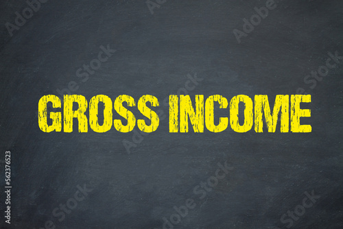Gross income 