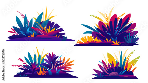 Set of four decorative compositions of fantastic jungle plants in different colors on ground, composition of plants on the sunny lawn in saturated colors, isolated