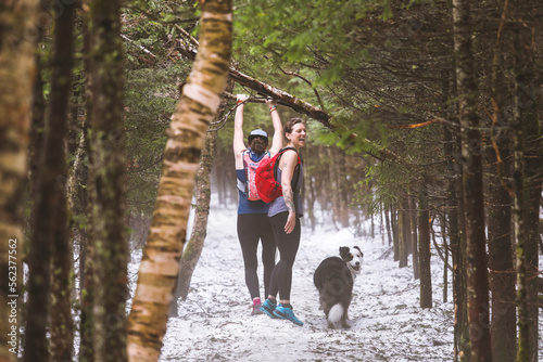 Women with dog hiking in forest, Mt Willard, New Hampshire, USA photo