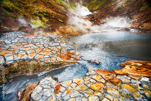 Geothermal ground venting steam in Hengill, Iceland photo