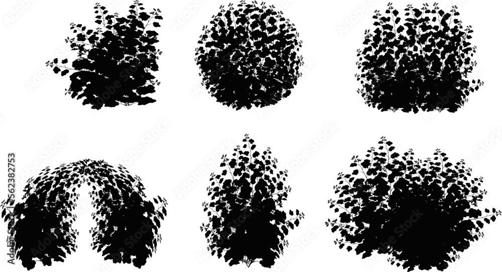 Set of ornamental black plant in the form of a hedge.Realistic garden shrub, seasonal bush, boxwood, tree crown bush foliage.For decorate of a park, a garden or a fence. Set of ornamental black plant in the form of a hedge.Realistic garden shrub, seasonal bush, boxwood, tree crown bush foliage.For decorate of a park, a garden or a fence.