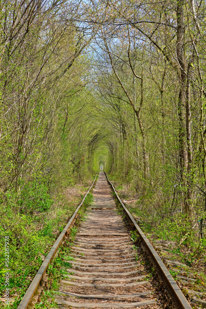 Ukraine. Railway in the dense deciduous forest. Tunnel Of Love Ukraine. Railway in the dense deciduous forest. Tunnel Of Love