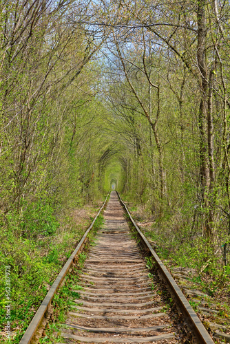 Ukraine. Railway in the dense deciduous forest. Tunnel Of Love
