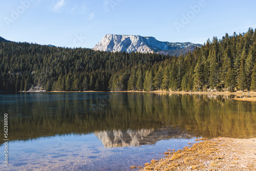 Fototapeta Naklejka Na Ścianę i Meble -  Beautiful view of Black lake, Crno Jezero in Durmitor National Park, Zabljak, northern Montenegro, landscape in a sunny day with blue sky, with glacial lake, forest hiking trail and mountain peaks