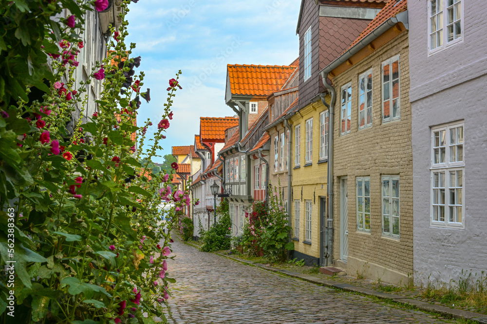 Narrow cobblestone alley with small historic residential houses and planted flowers on the facades in the old town of Flensburg, Germany, tourist destination