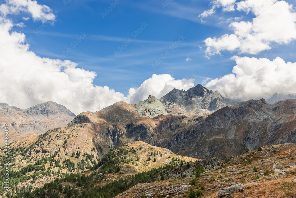 Numerous mountain peaks replace each other to horizon, partly covered with rare trees and withered autumn vegetation in Gran Paradiso National Park. Aosta Valley, Italy