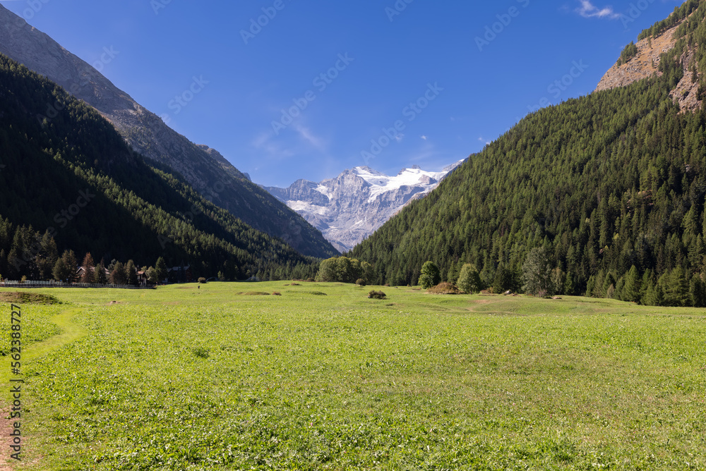 Panorama of green neat Sant Orso meadow and footpath winding along it in Alps gorge, slopes covered with evergreen pine forest, Cogne, Aosta Valley, Italy