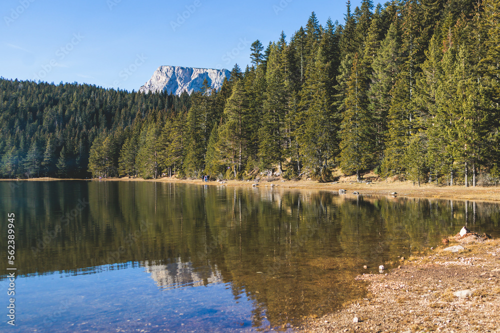 Fototapeta premium Beautiful view of Black lake, Crno Jezero in Durmitor National Park, Zabljak, northern Montenegro, landscape in a sunny day with blue sky, with glacial lake, forest hiking trail and mountain peaks