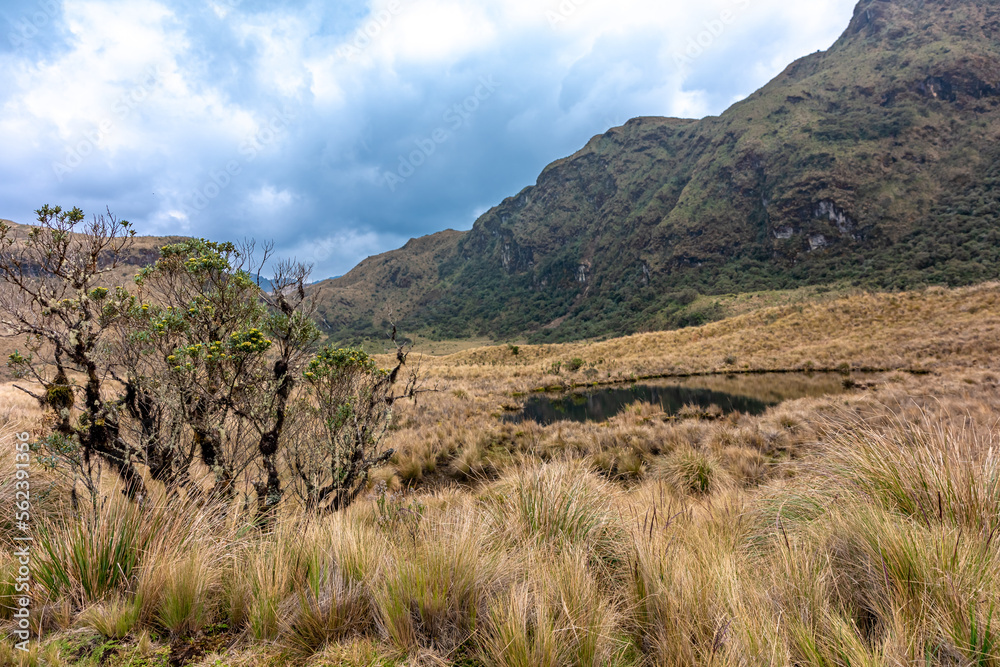 Cayambe Coca Ecological Reserve in Ecuador