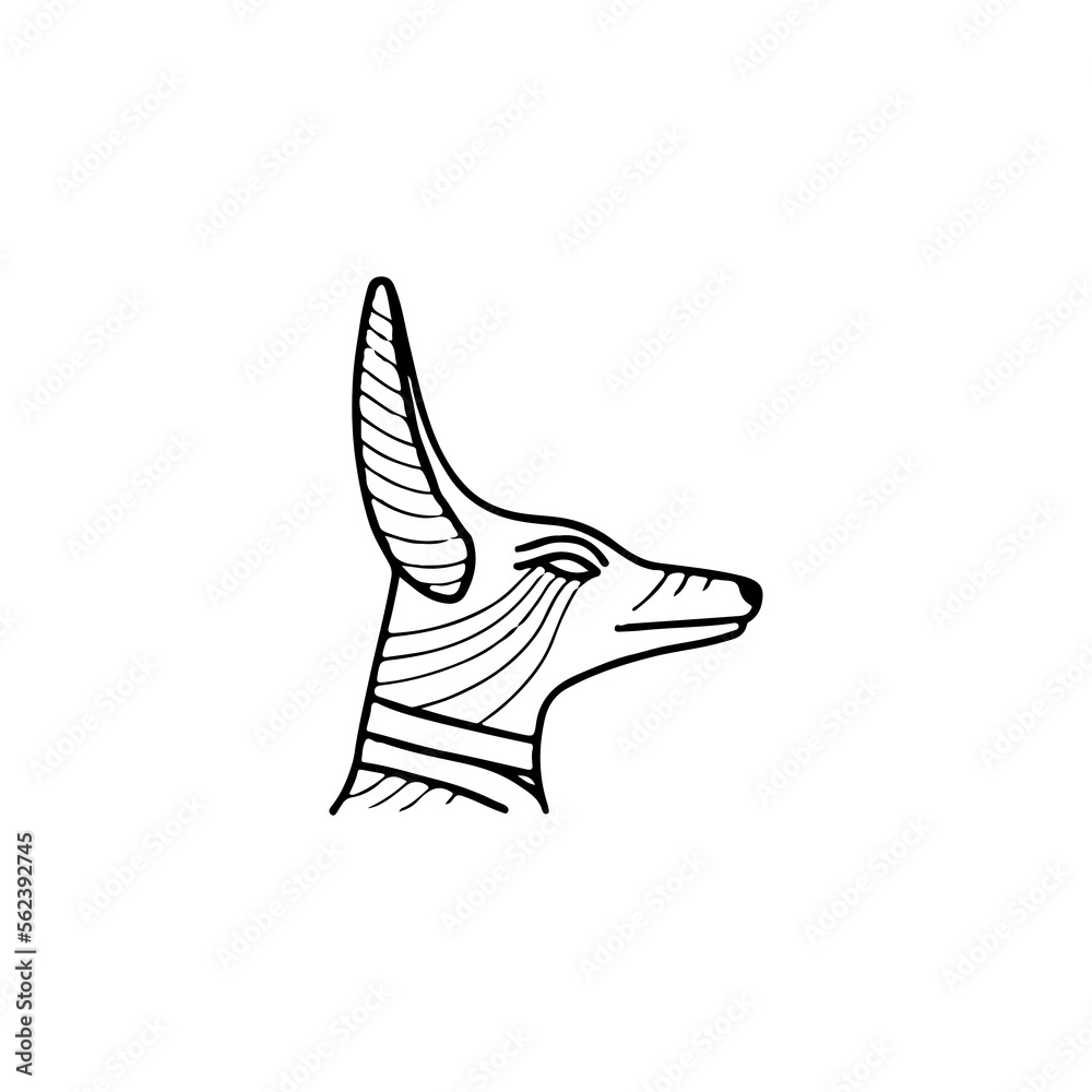 vector illustration of long eared cat vector illustration of long eared cat