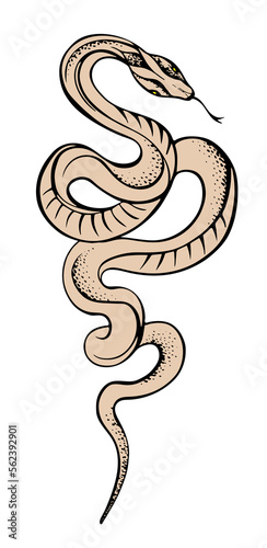 vector illustration of a snake, icon, sketch of an artistic tattoo, logo, freehand drawing, snake outline drawing