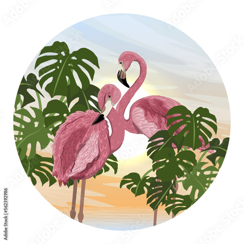 Round composition. Pair of red flamingos on the seashore with tropical plants. Wild birds of South America, Galapagos and Caribbean islands. Realistic vector landscape
