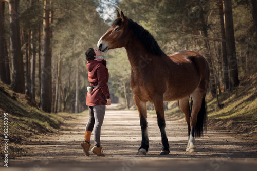 Girl with her beautiful bay horse photo