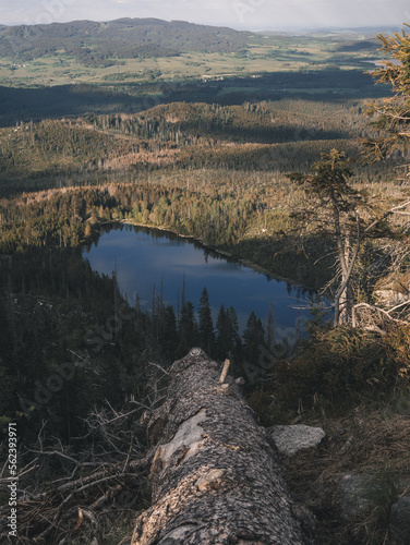 View of a lake in the middle of a forest landscape.