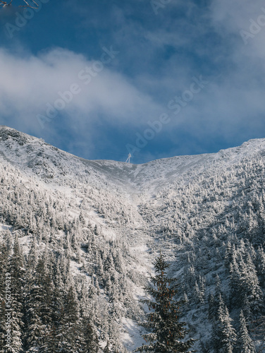 Snowy winter landscape and trees on the way to Sněžka, Czech Republic.