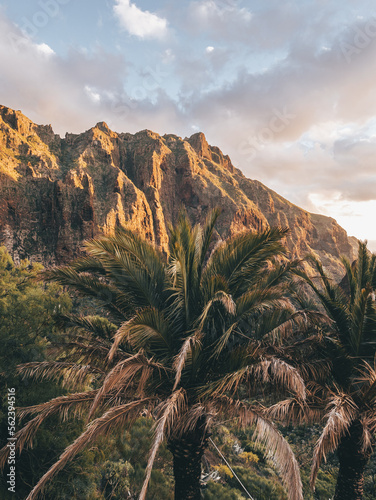 Cliffs, mountains and palm trees in Masca, Tenerife.
