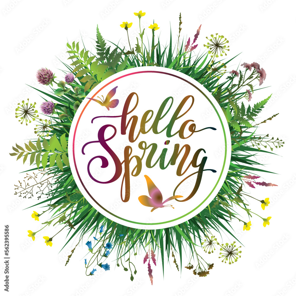 Hello spring banner with grass, herbs, flowers and lettering. Flower frame.