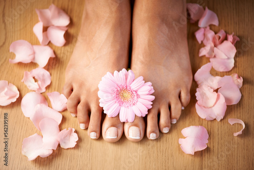 Feet, flower and spa pedicure with nails beauty of woman in studio for floral luxury skincare. Toes of wellness and beauty model for self care, cleaning and floral dermatology cosmetics in studio