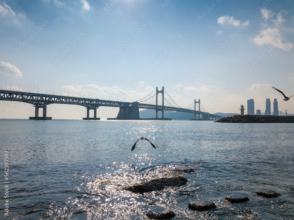 High resolution pictures taken by drones. Gwangandaegyo Bridge and the natural scenery of the area against the backdrop of Busan Metropolitan City's urban landscape. a vast figure in harmony with the 