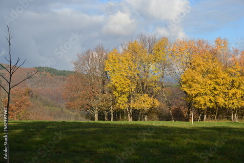 paysage d'automne dans les Vosges alsaciennes