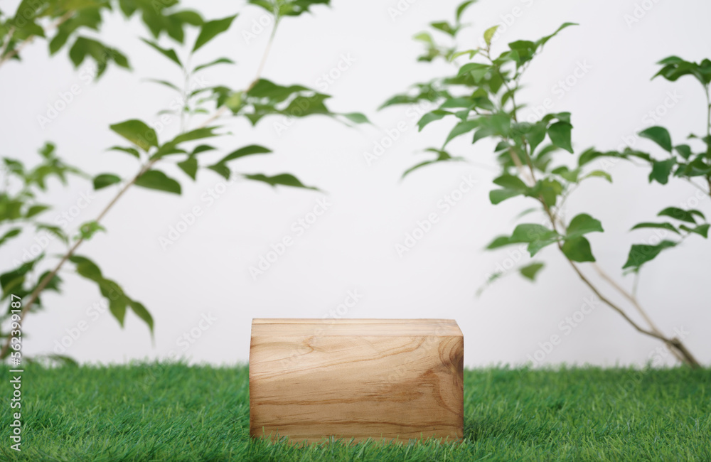 wood podium on grass with tree branch green leaf white space background.promotion beauty cosmetic and healthy natural product placement pedestal platform showcase display,spring or summer advertising. wood podium on grass with tree branch green leaf white space background.promotion beauty cosmetic and healthy natural product placement pedestal platform showcase display,spring or summer advertising.