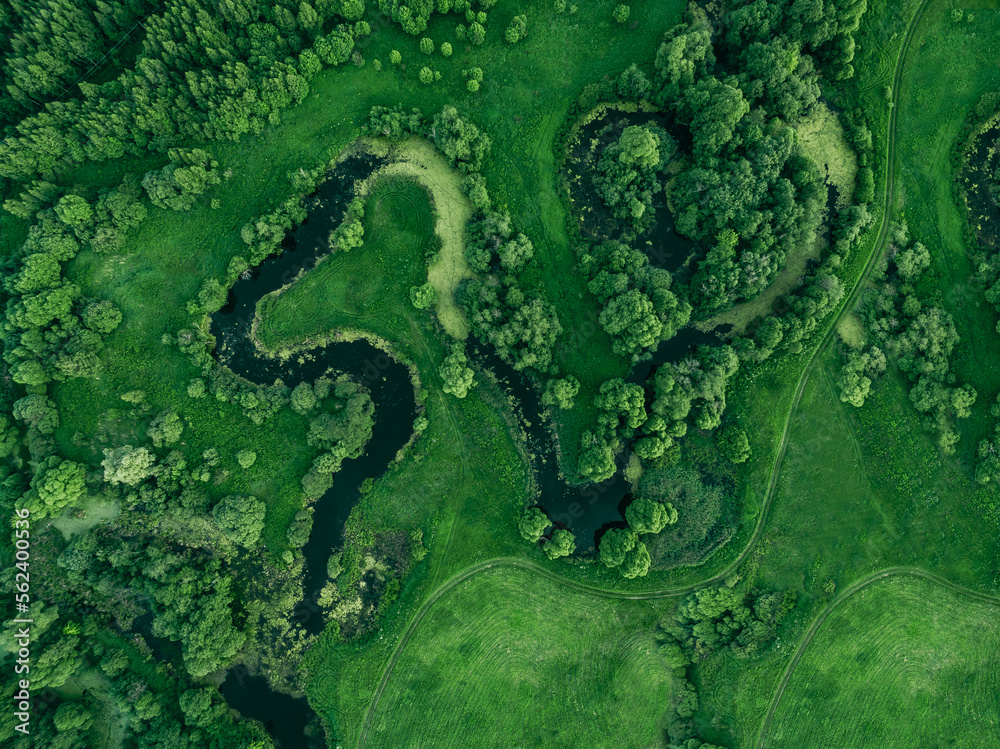Aerial view of winding river in green summer landscape