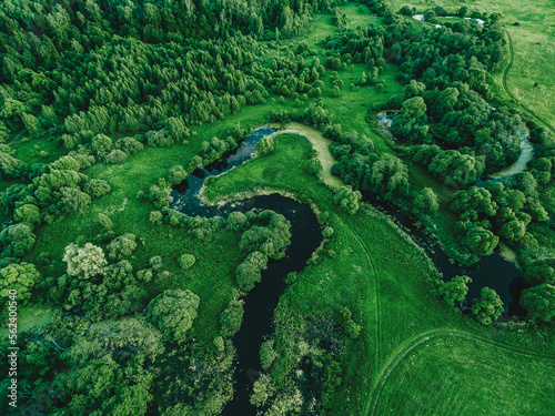Aerial view of winding river in green summer landscape