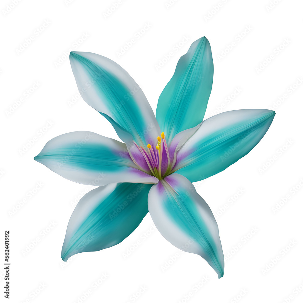 lily flower close up marco good for design lily flower close up marco good for design