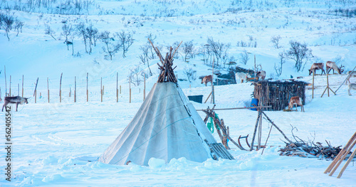 Traditional Sami reindeer-skin tents (lappish yurts) in Tromso photo