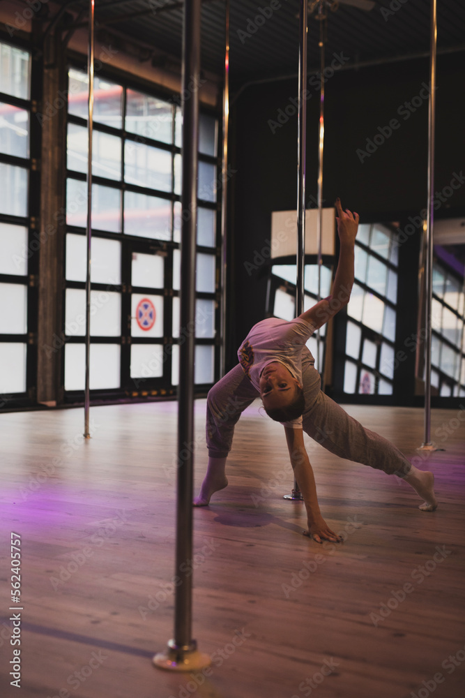 Künstler Pole Dance Frau in Kunst AI  Spezial Effekte vor der Kamera mit Berliner Techno Musik in Pink