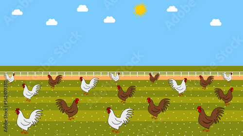 Illustration of white and brown chickens in a barnyard with seeds and beautiful blue sky