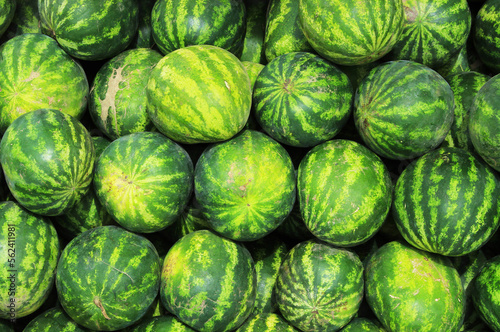 watermelons on market