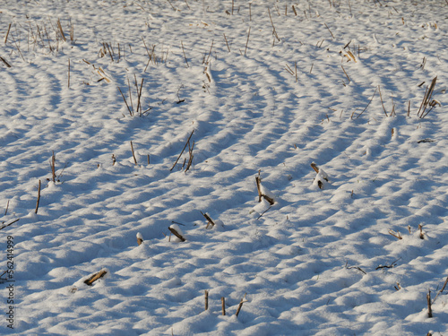 Mit Schnee bedeckte Furchen eines Ackers im Winter während der Vegetationspause photo