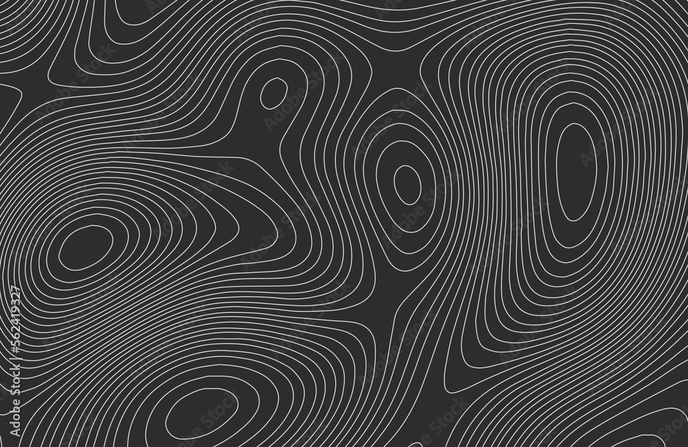 Contour map background. Vector geography scheme and terrain. Topography grid map.