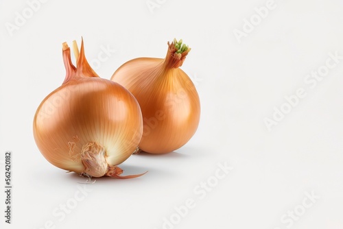 onions isolated. brown onions isolated on white background. fresh vegetable. generative ai